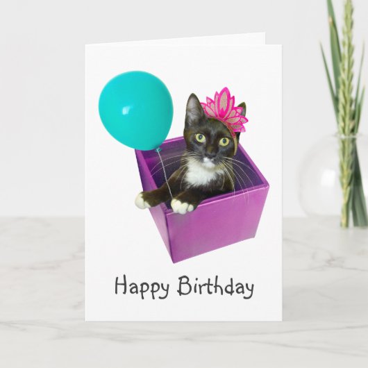 タキシードキャット誕生日 カード (正面)