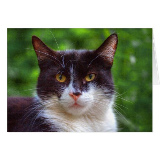 タキシードポートレート (正面横)