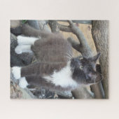 タキシード子猫 ジグソーパズル (横)