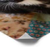 タキシード子猫 ポスター (角)