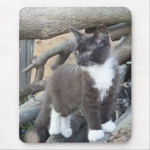 タキシード子猫 マウスパッド