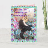 . .タキシード猫おもしろいが可愛く眠れる猫たちが好調 カード (正面)