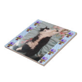 . .タキシード猫おもしろいが眠るスミオラ陶器の瓦 タイル (側面)