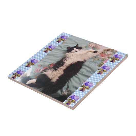 . .タキシード猫おもしろいが眠るスミオラ陶器の瓦 タイル (側面)