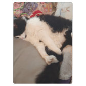 タキシード猫おもしろい引用文白黒猫ガールズ クリップボード (裏面)