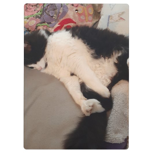 タキシード猫おもしろい引用文白黒猫ガールズ クリップボード (裏面)