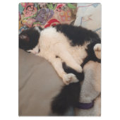 タキシード猫おもしろい引用文白黒猫ガールズ クリップボード (裏面)