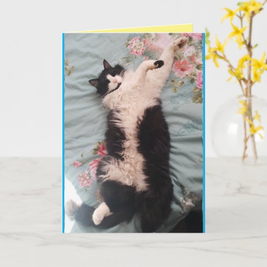 タキシード猫かわいいおもしろいユーモア眠る猫カード カード (黄色い花)