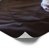 タキシード猫かわいいおもしろい眠る猫のポスター ポスター (角)