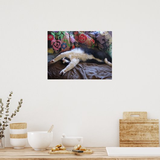 タキシード猫かわいいおもしろい眠る猫のポスター ポスター (キッチン)