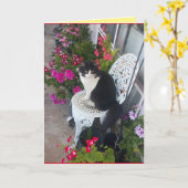 タキシード猫かわいいかわいらし花猫誕生日カード カード (黄色い花)