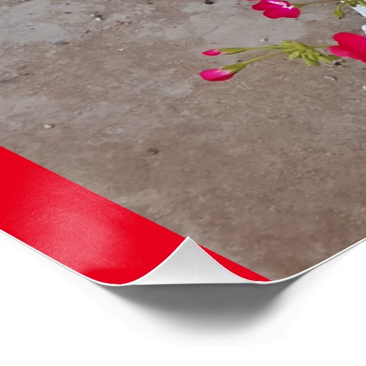 タキシード猫かわいいかわいらし花猫誕生日カード ポスター (コーナー)