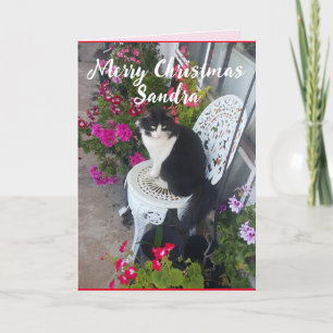 タキシード猫かわいい花かわいらし猫クリスマスカード カード