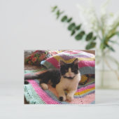 タキシード猫がかわいい素敵な手編みマット ポストカード (スタンド正面)