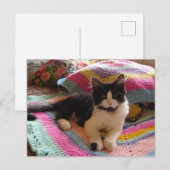 タキシード猫がかわいい素敵な手編みマット ポストカード (正面/裏面)