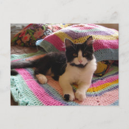 タキシード猫がかわいい素敵な手編みマット ポストカード