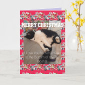 . .タキシード猫が爪先豆のクリスマスカード好き カード (黄色い花)