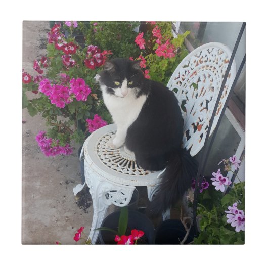 タキシード猫のかわいい花柄 黒猫 タイル (正面)