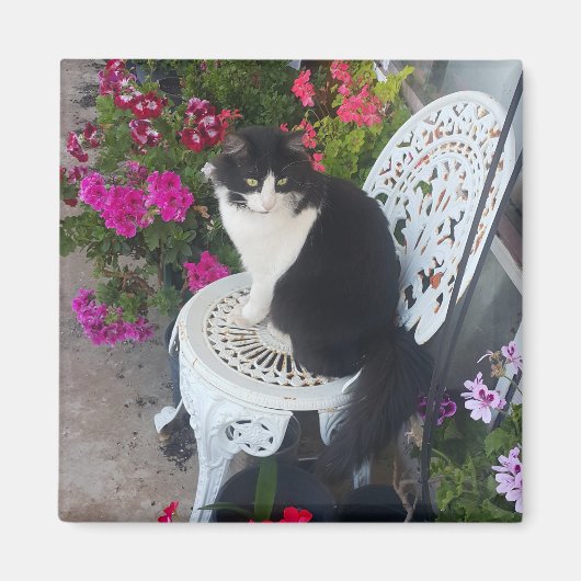 タキシード猫のかわいい花柄 黒猫 マグネット (正面)
