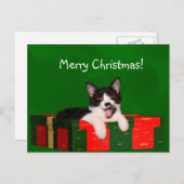 タキシード猫のクリスマス シーズンポストカード (正面/裏面)