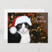 タキシード猫のクリスマス シーズンポストカード (正面/裏面)