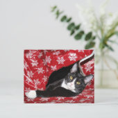 タキシード猫のクリスマス ポストカード (スタンド正面)