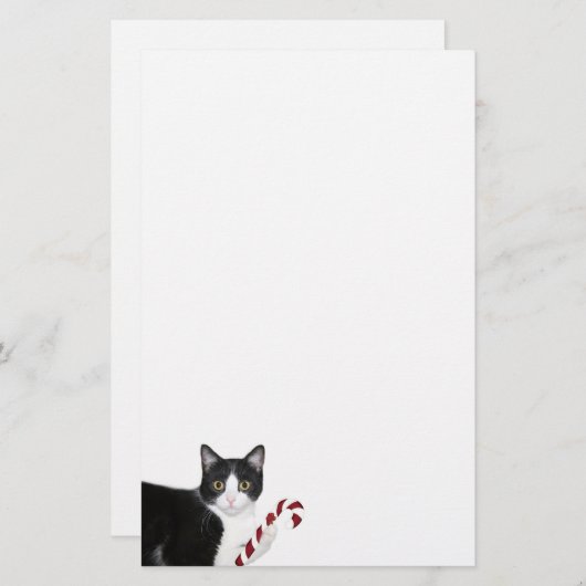 タキシード猫のクリスマス 便箋 (正面/裏面)