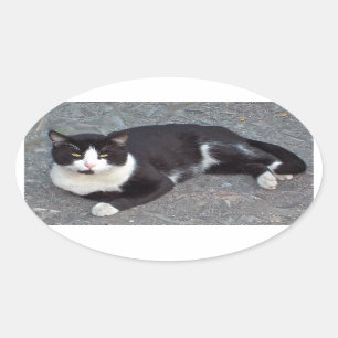 タキシード猫のステッカー 楕円形シール