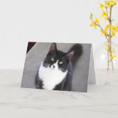 タキシード猫の挨拶状 カード (黄色い花)