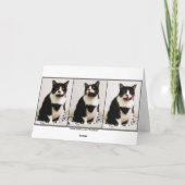 タキシード猫の誕生日のユーモアカード カード (裏面)