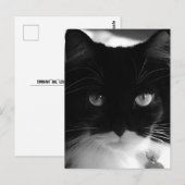 タキシード猫はがき ポストカード (正面/裏面)