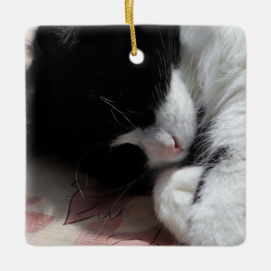 タキシード猫アートかわいいピンクの鼻キティ猫アート セラミックオーナメント (正面)