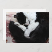 タキシード猫キティ猫の白黒猫 シーズンカード (正面/裏面)