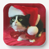 タキシード猫クリスマスプレート ペーパープレート (正面)