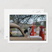 タキシード猫ニューメキシコガソリンスタンド博物館 ポストカード (正面/裏面)
