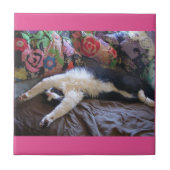 タキシード猫メおもしろいキシカンかわいい誕生日 タイル (正面)