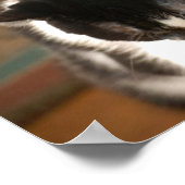 タキシード猫ユーモア ポスター (角)