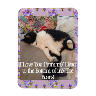 タキシード猫愛おもしろい好猫引用文 マグネット