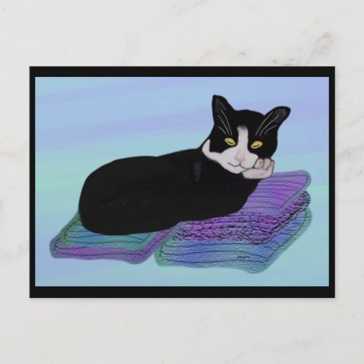 タキシード猫昼寝はがき ポストカード (正面)