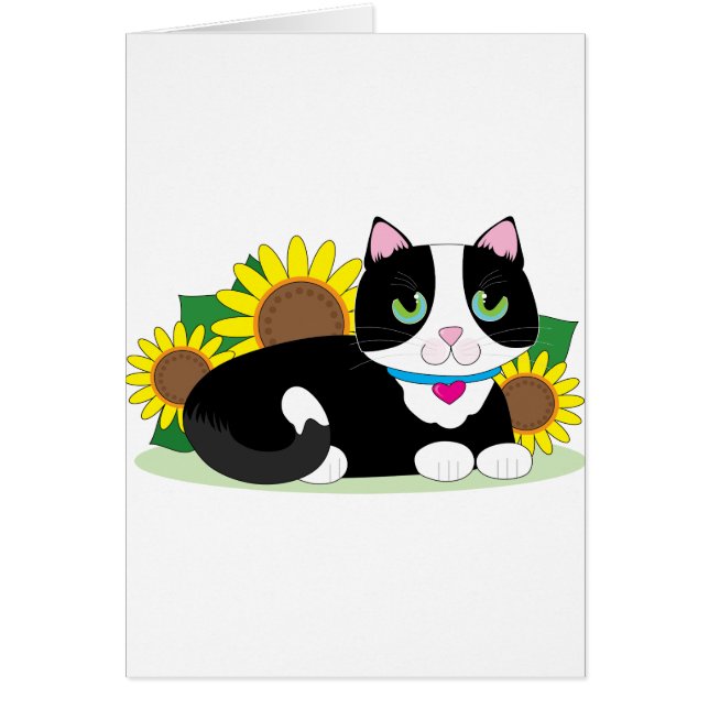 タキシード猫 (正面)
