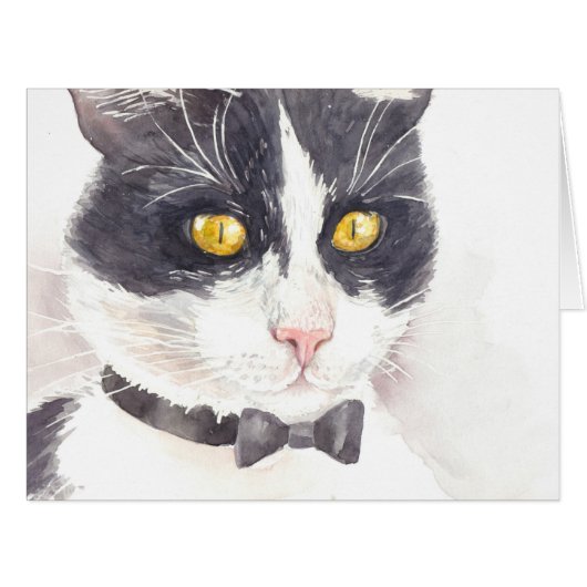 タキシード猫 (正面横)