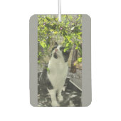 タキシード猫 カーエアーフレッシュナー (正面)