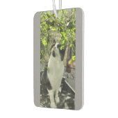 タキシード猫 カーエアーフレッシュナー (左)