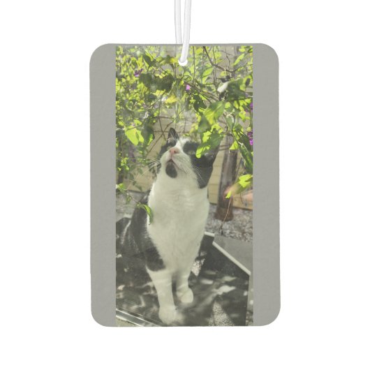 タキシード猫 カーエアーフレッシュナー (裏面)