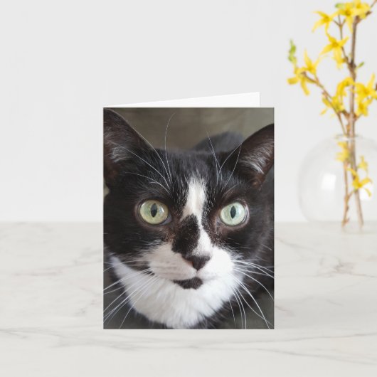 タキシード猫 カード (黄色い花)