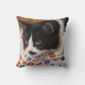 タキシード猫 クッション (正面)