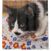 タキシード猫 シャワーカーテン (正面)