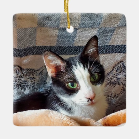 タキシード猫 セラミックオーナメント (正面)