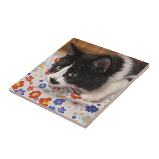 タキシード猫 タイル (側面)