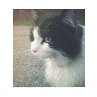 タキシード猫 ノートパッド